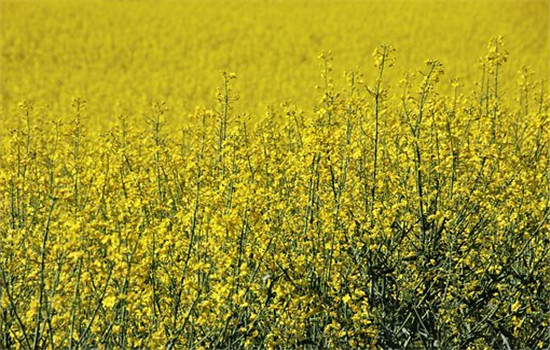 女朋友说性格不合分手