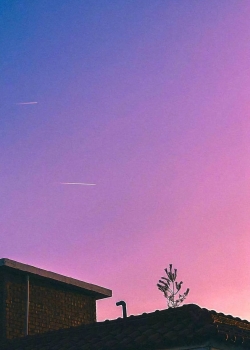 粉紫色美丽风光无水印高清手机壁纸图片