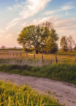 唯美摄影大自然风景高清手机壁纸图片