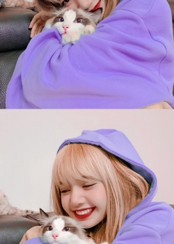 Lisa清甜可爱潮流拼接高清手机壁纸图片