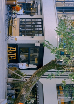 城市街道风景摄影高清手机壁纸图片