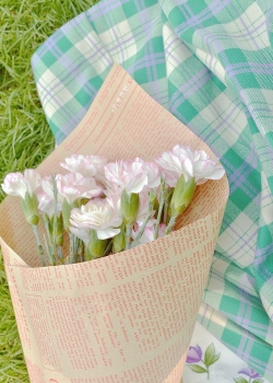 小治愈春天摄影高清手机壁纸图片