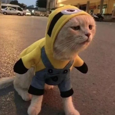 南风过境十里春风不如你 of transit in the spring breeze as you south ten