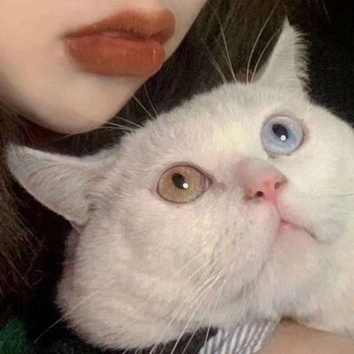 佳佳/优质女生头像/愿喜