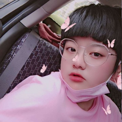 收纳箱——蝴蝶系列