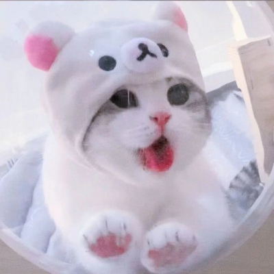 超级可爱有木有。