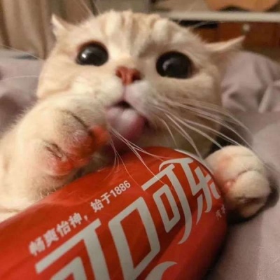 一个群用这样的头像