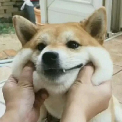 丧玖   二哈情头