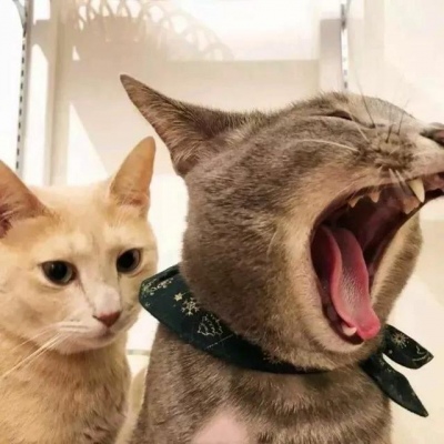 好看又沙雕的情头来咯