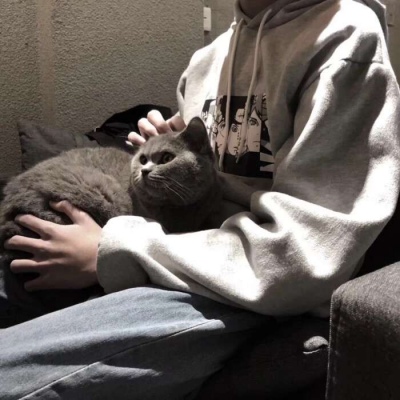 玖染/抱猫成熟高冷男头  暗恋是一座城堡  却又暗地里难过偷偷毁掉