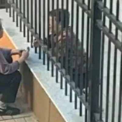 沙雕情最情侣头像呀  希望你的眼里只有我