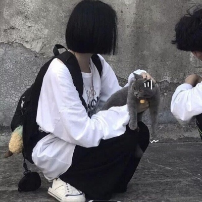 又是有情头没人用的一天