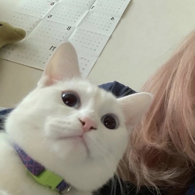 男友不是人系列