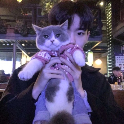 所有的关系只能和好不能如初.