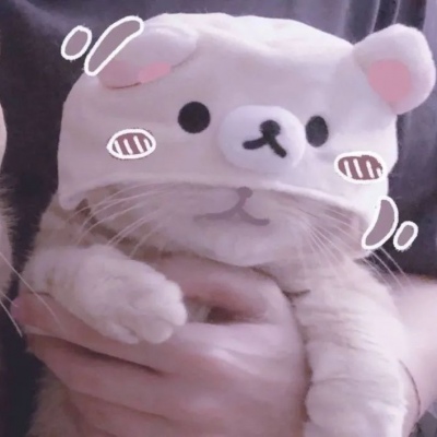 /可爱系/猫咪系列的可爱憨憨情侣头像