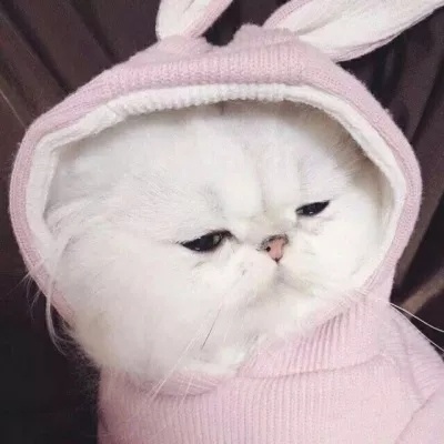 猫咪情侣头像（调皮版）