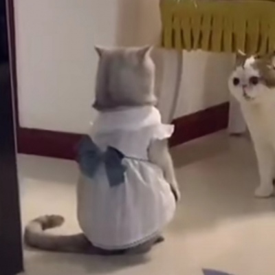 穿这漂亮给谁看，嫉妒，霸道