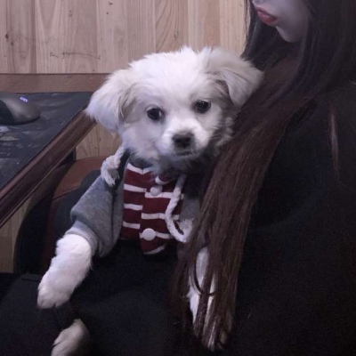 星河滚烫，你是人间理想（二传注明dt反哭）