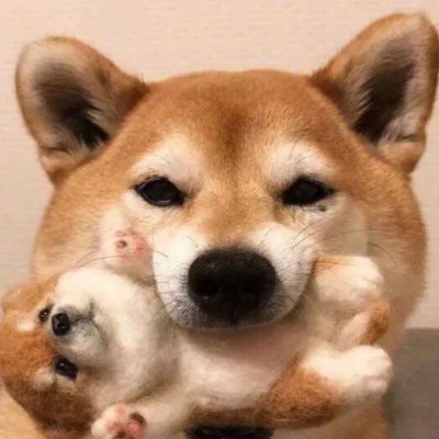 好可爱好可爱的情头