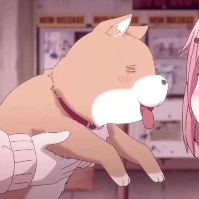 敲可耐情侣头像丨你不要轻易笑，我怕北极会融化