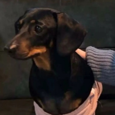 搞怪情头（胖熊窝竟然只有俩粉丝！可怜不？老样子，喜欢的点赞关注）