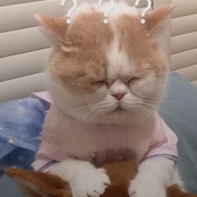 小盆友你是否有很多问号(✪▽✪)憨憨你俩干哈呢