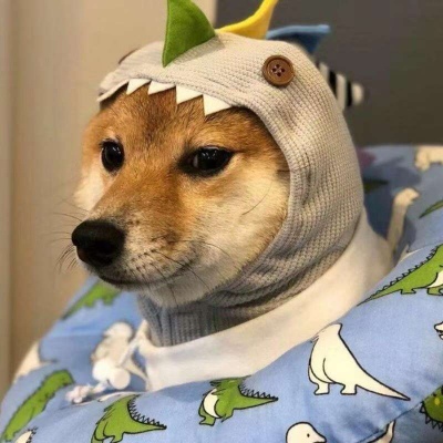 我到了淤泥深处   捡到了一颗星星