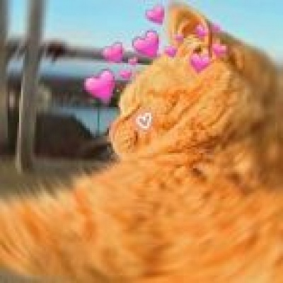 搞怪情头（找图不易，喜欢就关注点赞叭～）