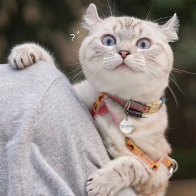 你的声音撩动我的心弦