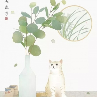 猫咪：就喜欢静静地看着你
