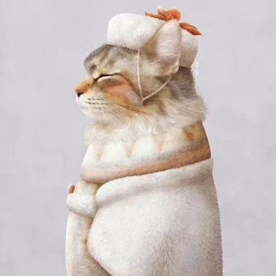 猫咪头像