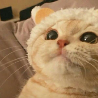 六月限定英雄小可爱已上线