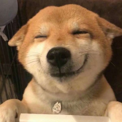 沙雕动物头像?哈哈