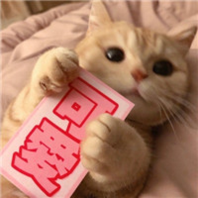 林恩:可爱猫咪第二发ε=ε=(ノ≧∇≦)ノ゜❅。゜