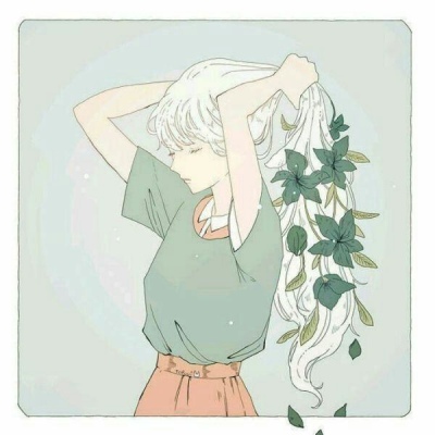 流星是世间宝藏