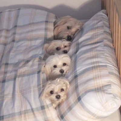 陌生人，答应我要每天开开心心，人生只有那么一次，一定要开心哦